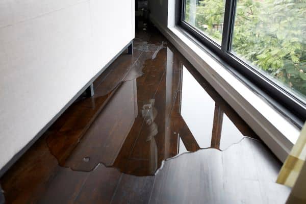 Water damage restoration services.