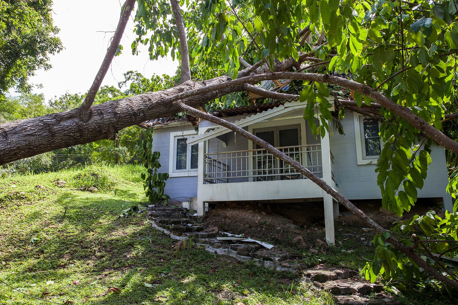 Disaster Relief in Asheville, NC