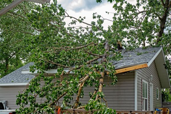 Disaster relief services in Asheville, NC