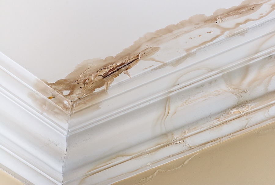 How to Properly Handle Water Damage in 5 Steps