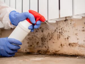 The Hidden Health Risks of Ignoring Mold