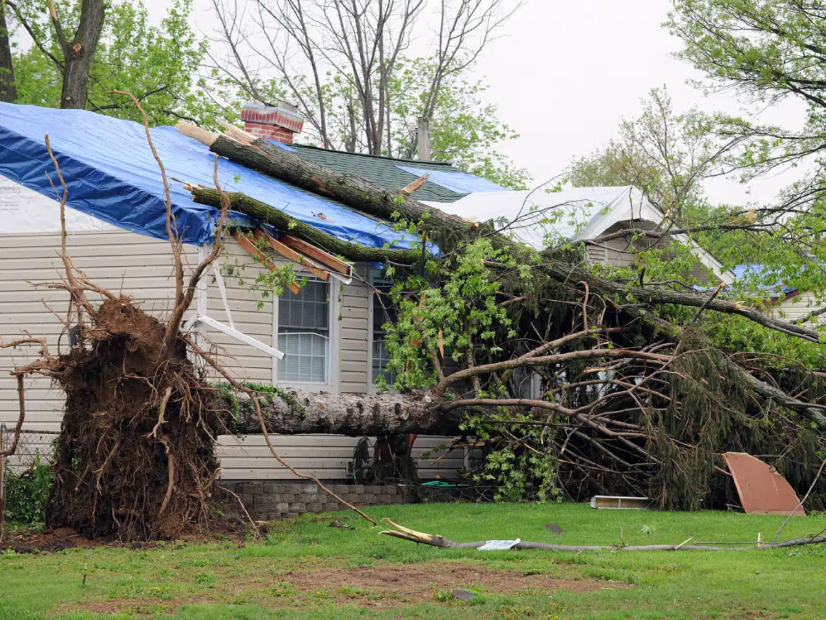 Roof repair services in Asheville, NC